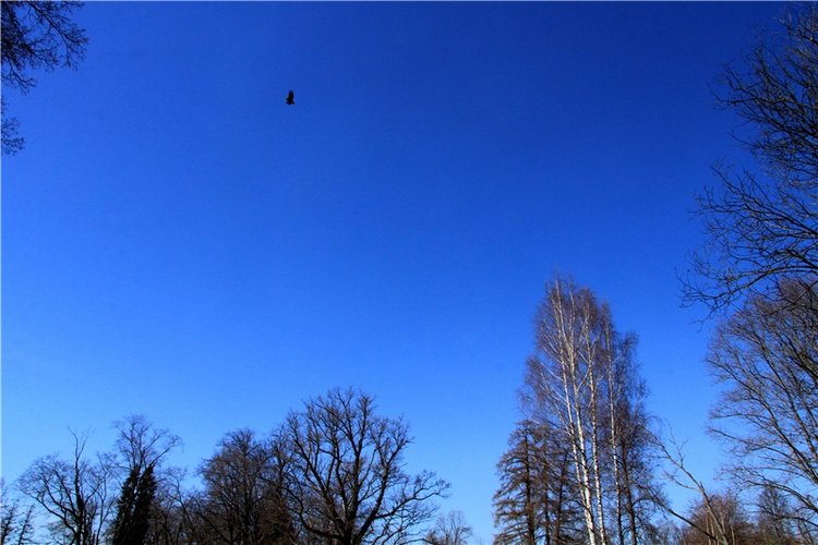 Апрельский день в Василёво, заключительная часть