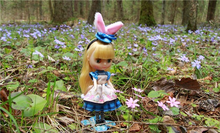 Застенчивая Алиса. Middie Blythe Doll Pebble Cakes & Shrinking Alice