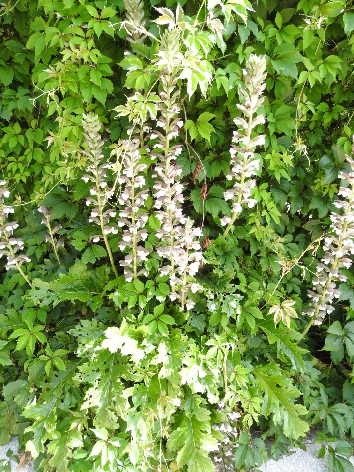 Краснодарский Край, Сочи-Адлер, Санаторий «Южное Взморье»