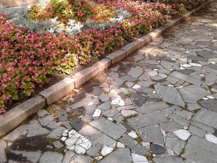 Последний месяц лета. Мой Псков. Аурика