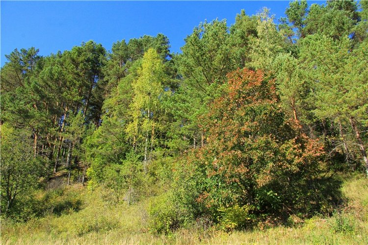 Старицкая Швейцария. Старицкие пещеры, д. Толпино, заключительная часть