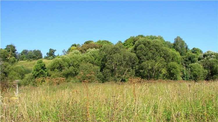 Старицкая Швейцария. Путешествие Мии. Minifee Miyu FairlyLand | Бэйбики Старицкая Швейцария. Путешествие Мии. Minifee Miyu FairlyLand