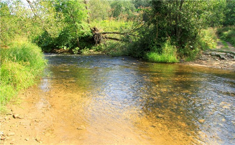 Старицкая Швейцария. Путешествие Мии. Minifee Miyu FairlyLand | Бэйбики Старицкая Швейцария. Путешествие Мии. Minifee Miyu FairlyLand