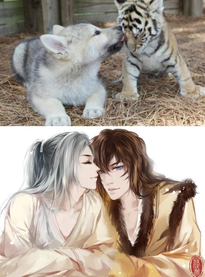 Как выглядели бы кошки, будь они девушками из аниме