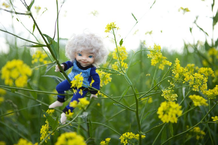 Болтушки или первое путешествие (3) | Бэйбики Болтушки или первое путешествие (3)