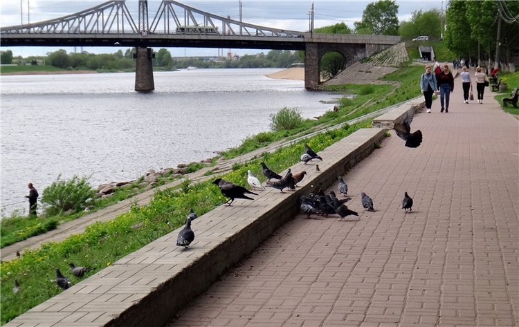 Милый мой город. Прогулка по Твери