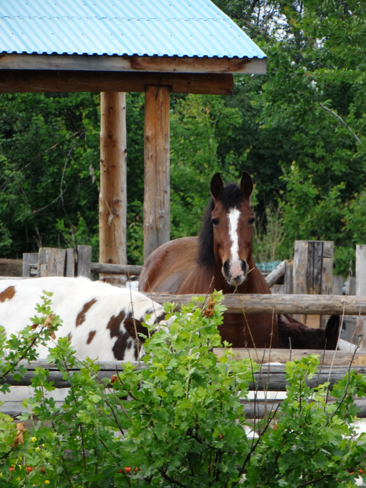 Парк Сказов — Туризм и путешествия: фотоотчеты из поездок