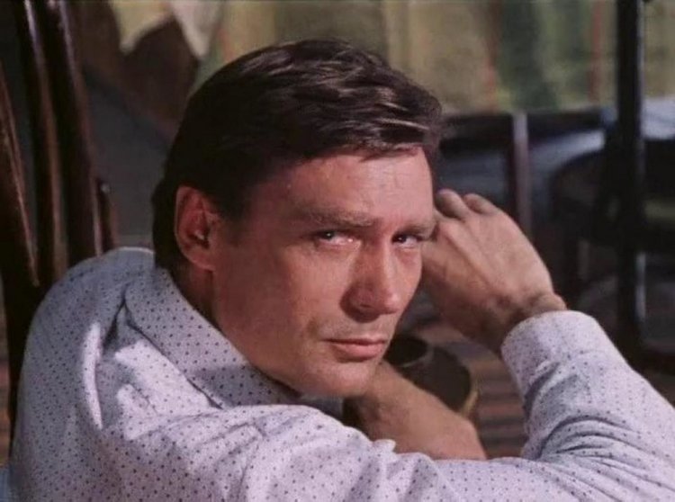 Александр Михайлов — Культура