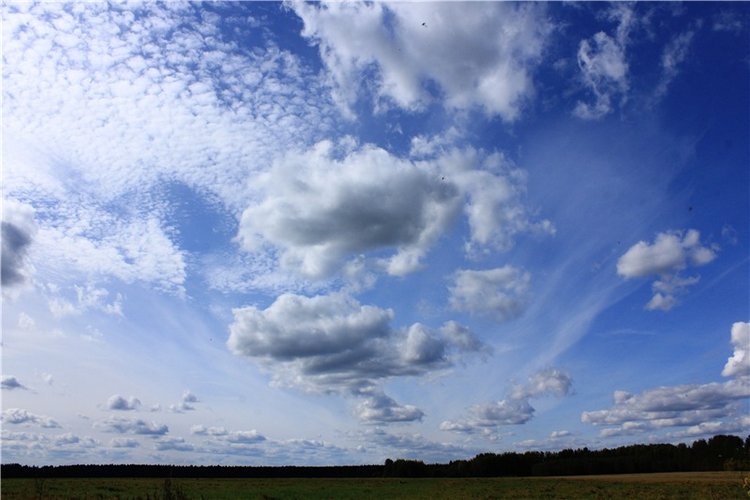 Странница во времени — Антикварные куклы Simon & Halbig (S&H): Симон Хальбиг (фото 5)
