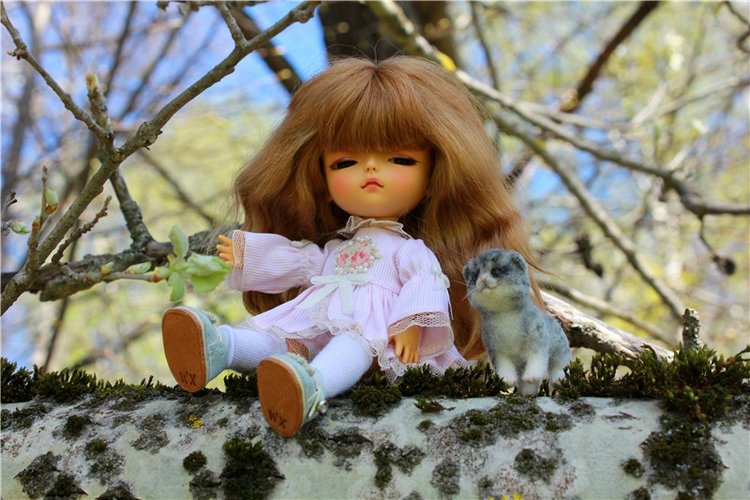 Путешествие Софи в Старицу, продолжение. Lati HoneyBee New Mystic Sophie