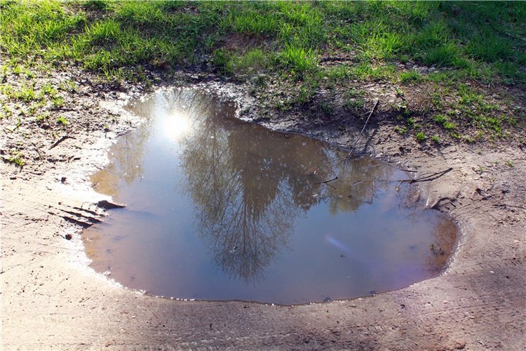 Прогулка Софи. Lati HoneyBee New Mystic Sophie | Бэйбики Прогулка Софи. Lati HoneyBee New Mystic Sophie