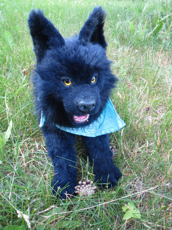 Мой домашний волчок — Домашние фото авторских игрушек: Тедди (фото 9)