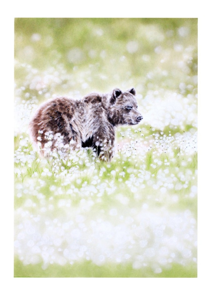 BrigitteMayArt - Иллюстрированная флора и фауна by Brigitte May (фото 6)