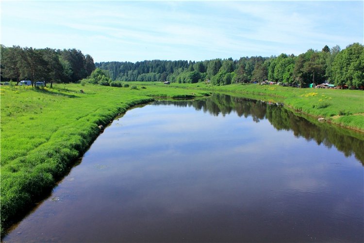 "Троицкие гуляния" в Василёво, 2019 год. Архитектурно-этнографический музей под открытым небом Василёво (фото 2)