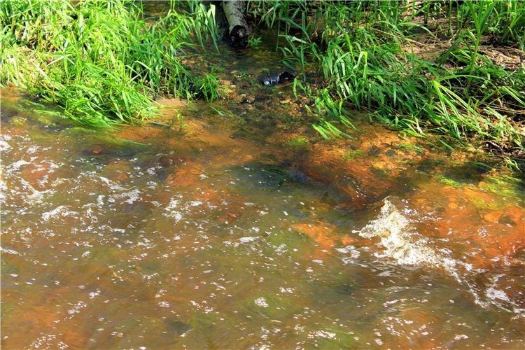 Затерянный Мир — Красивая природа и цветы: фото пейзажей (фото 6)