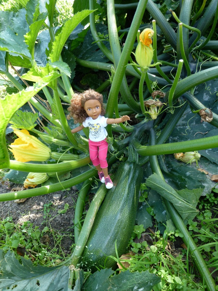 Отдых в деревне с Джой — Туризм и путешествия: фотоотчеты из поездок