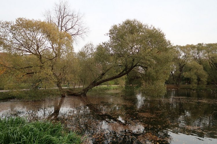 Крошка Элис | Бэйбики Крошка Элис — Куклы Fairyland (ФэйриЛэнд): BJD (БЖД)