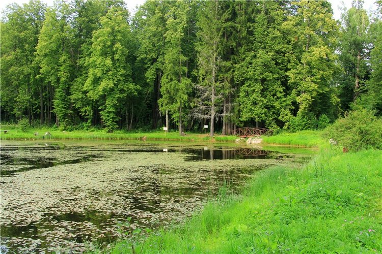 Путешествие Виолы в Усадьбу Знаменское-Раёк