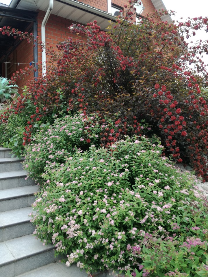 Подружки Райли — Куклы Helen Kish (Хелен Киш): Riley (Райли)