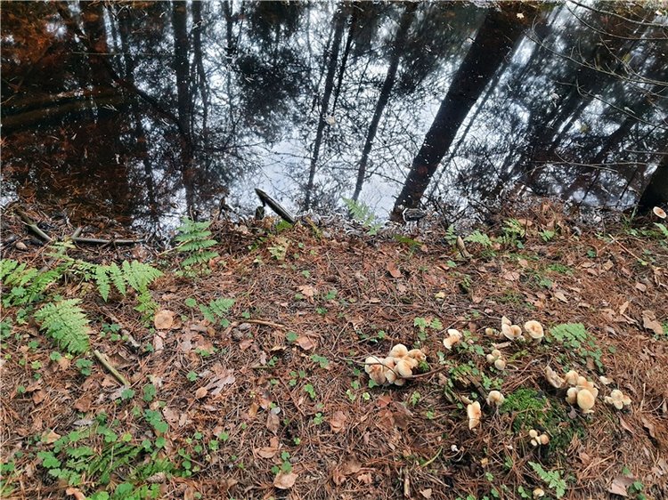 Путешествие по Святым местам Тверской области