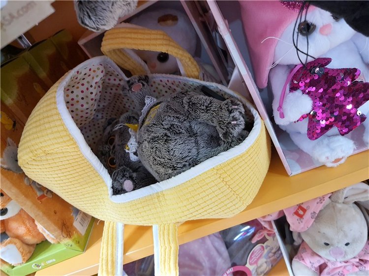 Праздничная Тверь. Время подарков