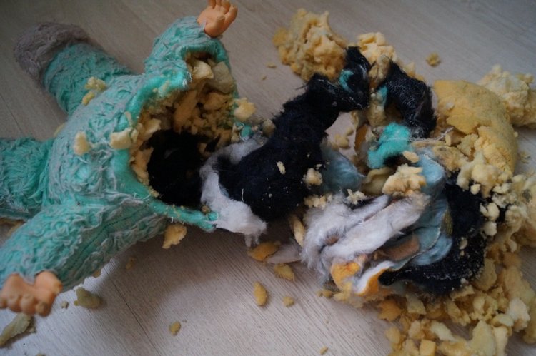 Субботняя выписка, уже вторая в этом году