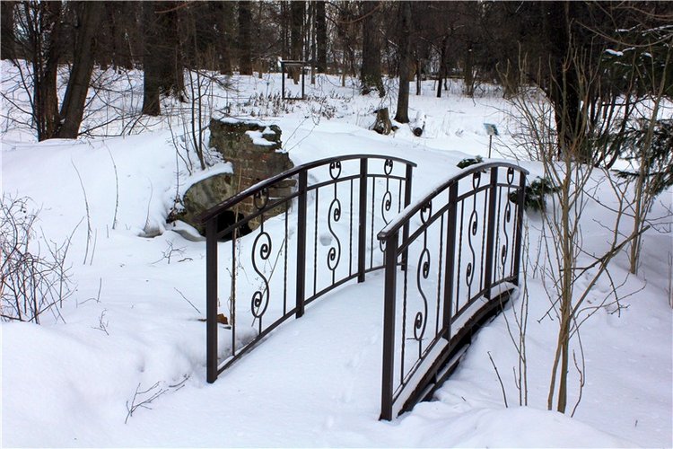 Тверской Ботанический Сад, заключительная часть