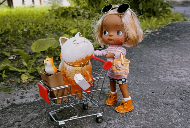 Holala Pipita Peter — Куклы Holala (Холала) от Jenny Fairytown: Pipita