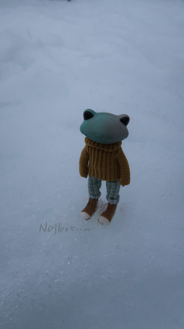 Большое путешествие Кензо. Арктика. Северный полюс