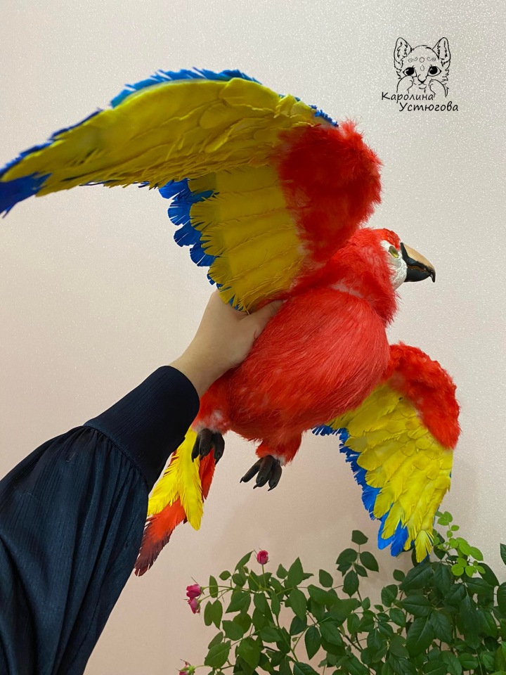 Попугай Ара — Игрушки в смешанной технике (мех и глина): Арт