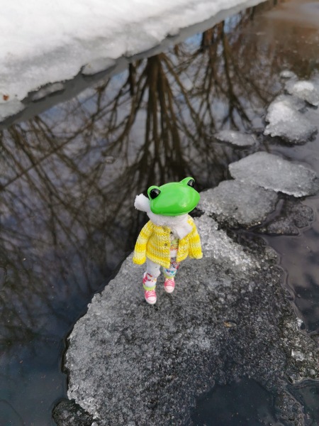 Лягушка Ванда и все-все-все