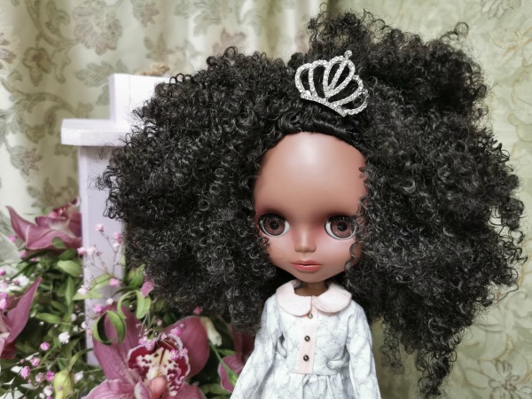 Кто такие Jecci five | Бэйбики Кто такие Jecci five — Куклы Blythe TBL (ТБЛ) и аналоги: Блюх