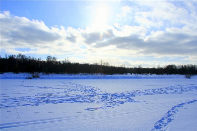 Зимняя прогулка Сони. Уникальная кукла от Сильвии Наттерер