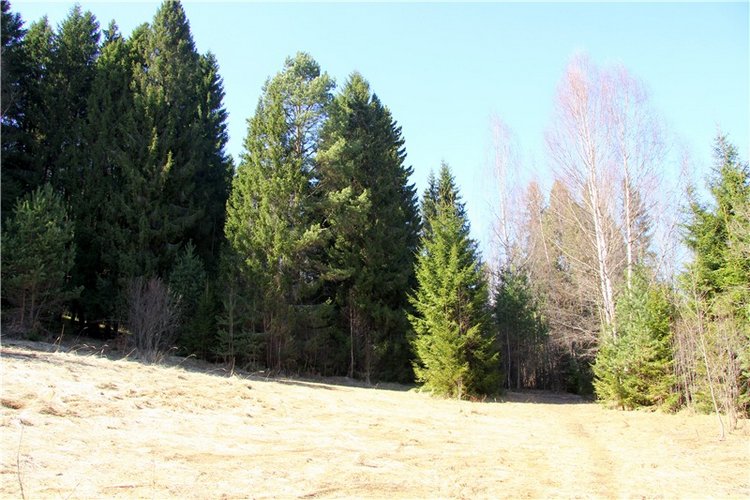Апрельский день в Василёво, третья часть