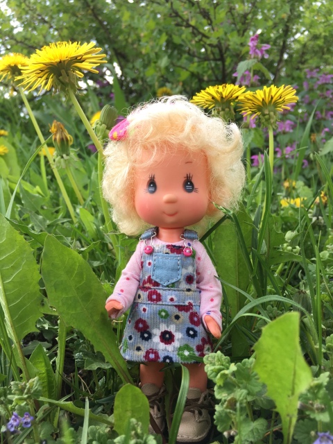 Поездка на дачу с Mui-chan, Migliorati и Sonny angel