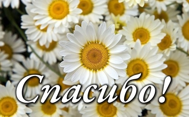 Зорянино лето. Прогулка в полях