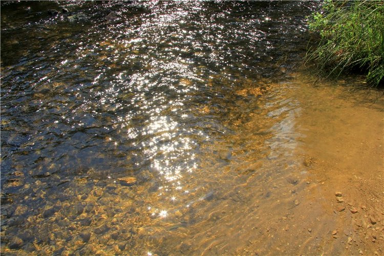 Старицкая Швейцария. Путешествие Мии. Minifee Miyu FairlyLand | Бэйбики Старицкая Швейцария. Путешествие Мии. Minifee Miyu FairlyLand