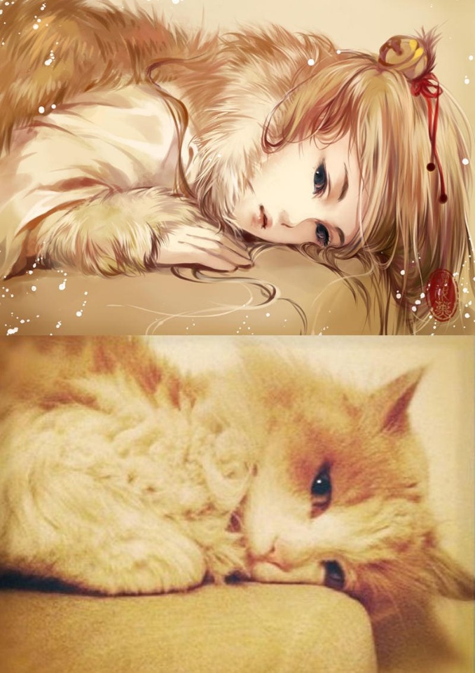 Как выглядели бы кошки, будь они девушками из аниме