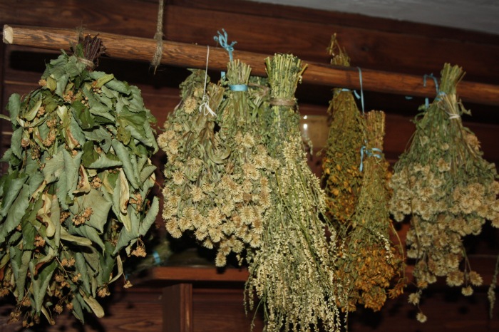 В гости к сето — Туризм и путешествия: фотоотчеты из поездок