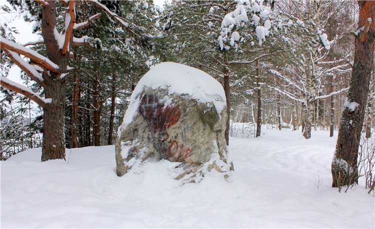 Рождественские гуляния, часть вторая. Zwergnase Mischa (фото 9)