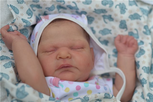 Мои новорожденные малыши. Кукла реборн | Бэйбики Мои новорожденные малыши. Кукла реборн (фото 9)