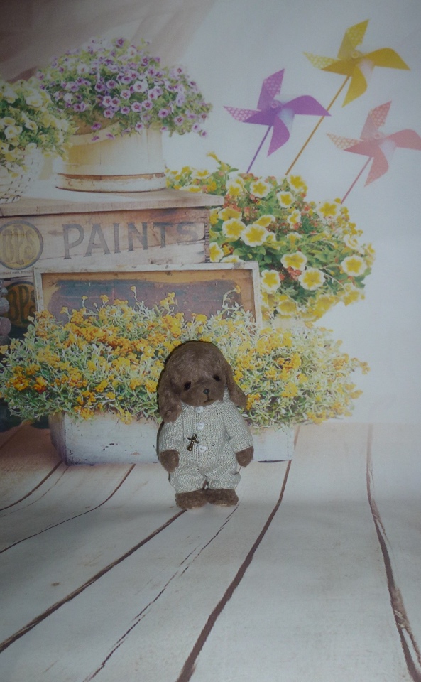 Моя небольшая коллекция кукол