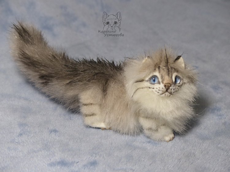 Котята Невские маскарадные, окрас Тэбби пойнт