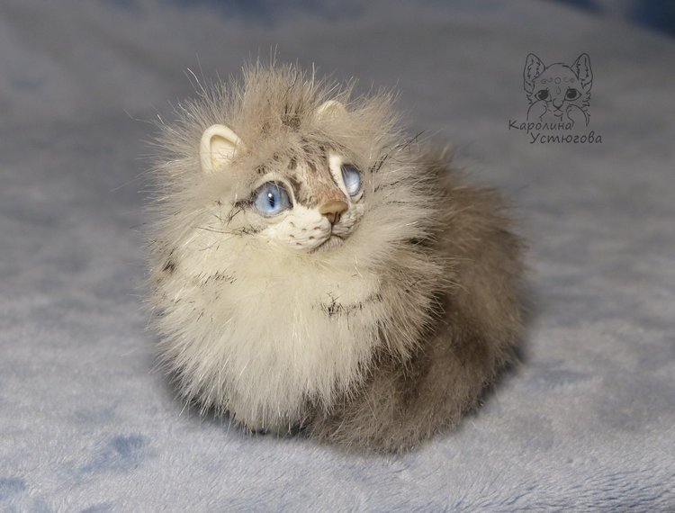 Котята Невские маскарадные, окрас Тэбби пойнт