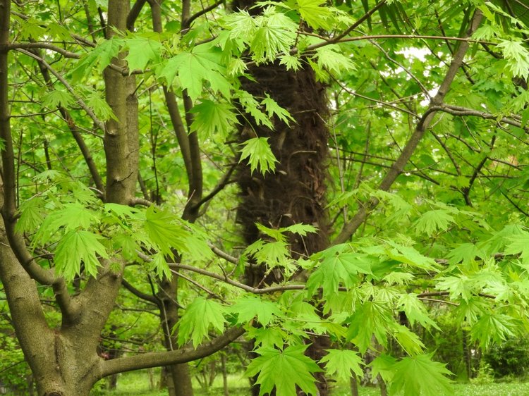 Сочи-Адлер: Южное Взморье - виртуальное путешествие по территории санатория