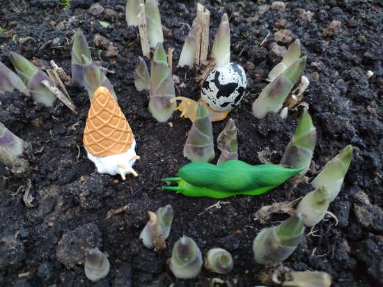 Что такое гасяпон — Домашние фото авторских игрушек: Тедди