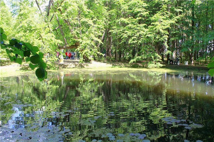 Я к Вам лечу воспоминаньем...Пушкинский праздник поэзии в Берново, 2019 год