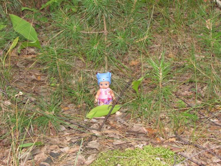 Путешествие в Нижегородскую область - часть 2 - Размещение в деревушке и прогулка по окресностям