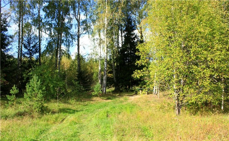 Лучистый Сентябрь — Редкие антикварные куклы и реплики: воск (фото 6)