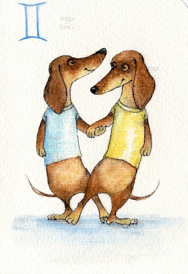 Предновогодние денёчки! Улыбнёмся вместе! Смешные таксы Инги smG